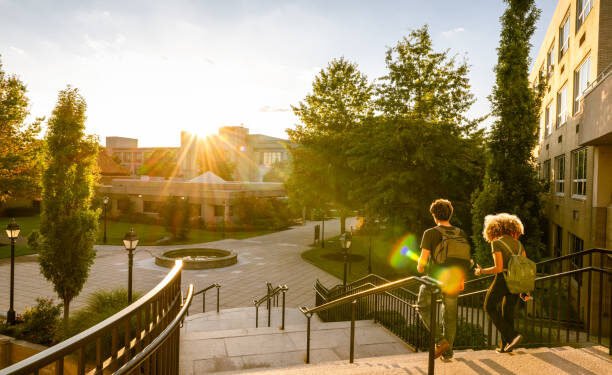 Top Skills Students Use to Earn Six Figures in the USA